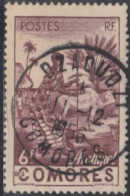 Comores (Archipel Des) - N° 06 (YT) N° 6 (AM) Oblitéré De D'Zaoudzi. - Usados