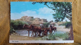 CPSM CHEVAL CHEVAUX ATTELAGE TAOS PUEBLO NEW MEXICO CURTEICHCOLOR C 31 - Pferde