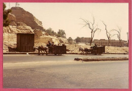 Egypte Egypt Déchets Au Caire Les Chiffonniers, Waste In Cairo_Cushers_Only Photograph Kodak 1981_Not Postcard_TTB - Cairo
