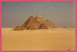 Egypte Egypt Pyramides Pyramids Gizeh_Only Photograph (1981 +/-Kodak +/-13x9cm)_Not Postcard - Guiza