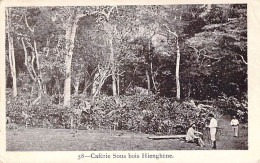 Nouvelle Calédonie - Caférie Sous Bois Hienghène  - Animé - Carte Postale Ancienne - New Caledonia