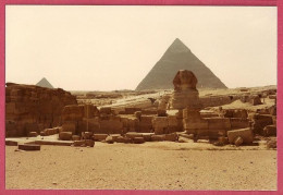 Egypte Egypt 1981 Sphinx Giza Gizeh The Sphinx Giza Guard Pyramides Chéops Pyramid_+/-Kodak Photograph_Not Postcard - Guiza