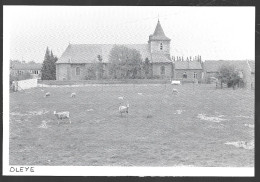 1980  --  BELGIQUE . OLEYE . VUE DU VILLAGE . 4A881 - Unclassified