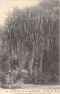 Nouvelle Calédonie - Pandanus - Cet Arbre Pousse En Abondance Sur Le Bord Des Rivières  - Carte Postale Ancienne - Nieuw-Caledonië