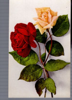 Rozen / Roses - Flores