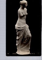 Venus De Milo - Sculptures