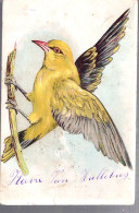 Bird / Vogel - Oiseaux