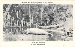 Nouvelle Calédonie - Mission Der Maristenpatres In Der Sudsee - Elephant De Mer - Carte Postale Ancienne - Neukaledonien