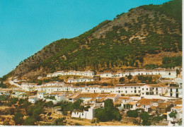 (C239) MIJAS. COSTA DEL SOL ... UNUSED - Malaga