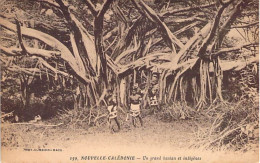 Nouvelle Calédonie - Un Grand Banian Et Indigènes - Curbier Maco - Animé - Carte Postale Ancienne - New Caledonia