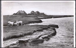 Hallig Langeness - Nordfriesland