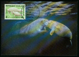 Mk Togo Maximum Card 1984 MiNr 1766 | WWF. Endangered Wildlife. West African Manatee #max-0015 - Togo (1960-...)