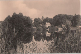 86105 - Penzlin - Blick Zur Stadt - 1962 - Neubrandenburg