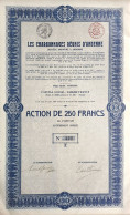 Les Charbonnages Réunis D'Andenne - 1913 - Action De 250 Francs - Mijnen