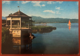 TORRE DEL LAGO PUCCINI - Ideale Soggiorno (c594) - Lucca