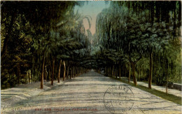 Calle De La Paz - San Juan - Argentinië