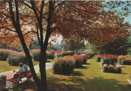 99377 - Bad Krozingen - Im Kurpark - Ca. 1980 - Bad Krozingen