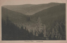 19655 - Oberhof Thür. - Grossvaterstuhl - Ca. 1935 - Oberhof