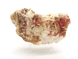 Minéraux Vanadinite Sur Barytine - Mineralen