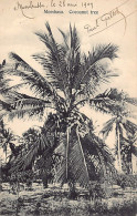 Kenya - MOMBASA - Cocoanut Tree - Publ. Coutinho & Sons  - Kenya