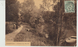 CPA CHAMPIGNY (94) CHEMIN DU MOULIN - ANIMEE - Champigny Sur Marne