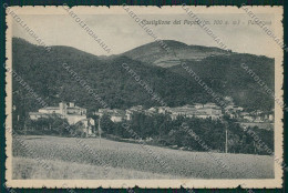 Bologna Castiglione Dei Pepoli Cartolina EE7404 - Bologna