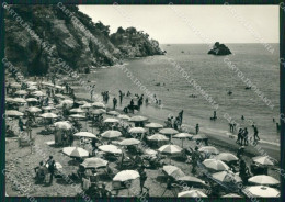 La Spezia Monterosso Foto FG Cartolina ZK1330 - La Spezia