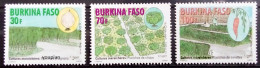 Burkina Faso 2011, Vegetable Growing, MNH Stamps Set - Burkina Faso (1984-...)