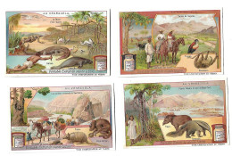 S 916, Liebig 6 Cards, Au Vénézuéla - Liebig