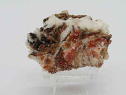 Minéraux Vanadinite Sur Barytine - Mineralien