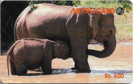 Sri Lanka - Metrocard (Chip) - Two Elephants Bathing, SC7, 600Rs, Used - Sri Lanka (Ceilán)