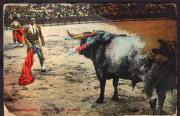 Portugal - Bullfights - Machaquito - Tourenado De Muleta - Corrida