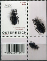 Austria 2024. Black Pit Beetle (Carabus Nodulosus) (VII) (MNH OG) Stamp - Nuovi