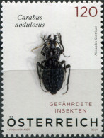 Austria 2024. Black Pit Beetle (Carabus Nodulosus) (MNH OG) Stamp - Neufs