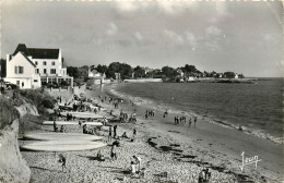 29* CONCARNEAU  Plage Des Sables Blancs  (CPSM 9x14cm)   RL20,0945 - Concarneau