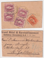 Paketadresse  "Grand Hôtel Sonnenberg, Seelisberg" - St.Gallen       1902 - Lettres & Documents