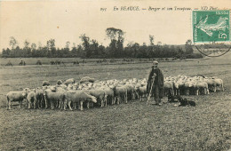 28* BEAUCE  Berger Et Son Troupeau       RL22,2191 - Crías