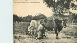 27* BERNAY (environs)   Traite D'une Vache   RL22,2031 - Viehzucht