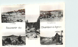 43* CHAMBON S/LIGNON    Souvenir – Multi Vues  (CPSM Format 9x14cm)         RL34.1003 - Le Chambon-sur-Lignon