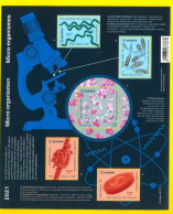 BELGIUM 2021 Micro-organisms - Miniature Sheet - 2021-…