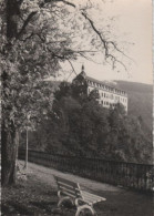 80106 - Schwarzburg - Schloss - 1968 - Saalfeld