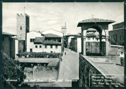 Arezzo Città Casa Del Petrarca Foto FG Cartolina ZK4230 - Arezzo