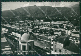 Lucca Seravezza Querceta Foto FG Cartolina ZKM8356 - Lucca