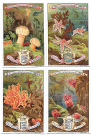 S 595, Liebig 6 Cards, Au Fond De La Mer (card Corail Rouge Has Small Damage On The Right) - Liebig