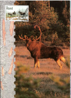 Picture Postcard  ALAND,  Elk    /  ALAND Carte Postale,   L élan    2000 - Animalez De Caza