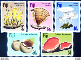 Funghi 1984. - Fiji (1970-...)