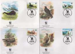 Azerbaijan 1994 WWF W. W. F. FDC Set X4 Bird Birds Fauna Caucasian Grouse - FDC