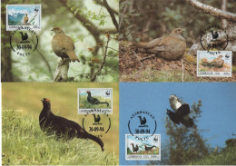 Azerbaijan 1994 Maximum Cards Set X4 WWF W. W. F. Bird Birds Fauna Caucasian Grouse - Maximumkaarten