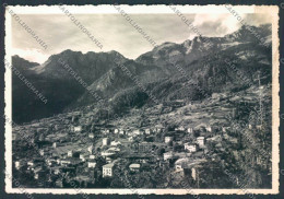 Trento San Lorenzo Banale Foto FG Cartolina ZF2287 - Trento