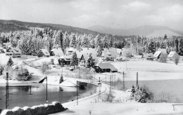 CPSM Schluchsee-Blick In Den Wolfsgrund-Timbre     L2849 - Schluchsee